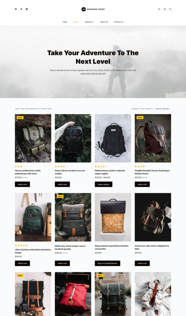 a wordpress website developed for modern online shops using the Blocksy theme.
